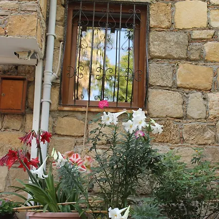 Ξενοδοχείο Nar Butik 3*